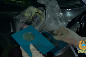 Фотография к новости: За два миллиона тенге пытались продать новорожденного в Алматы