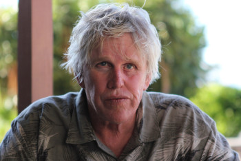 Фотография к новости: Актёра Гэри Бьюзи обвинили в сексуальных преступлениях