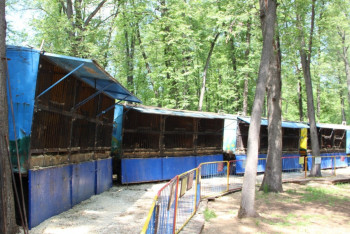 Фотография к новости: Это фашизм - атыраусцы в шоке от условий для животных в передвижном зоопарке