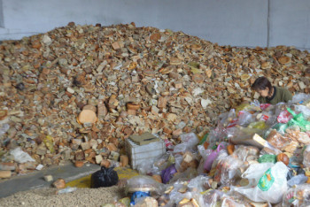 Фотография к новости: Как из хлебных остатков со столов астанчан производят корм для скота. Фоторепортаж