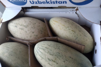 Фотография к новости: Более 60 тонн дынь пытались контрабандой ввезти в Казахстан