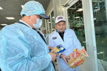 Фотография к новости: Продовольственный пояс вокруг Нур-Султана обойдётся в 625 миллионов тенге