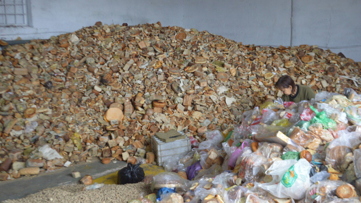 Рената Актаева