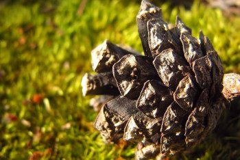 Фотография к новости: Какой будет погода в Казахстане 26 августа