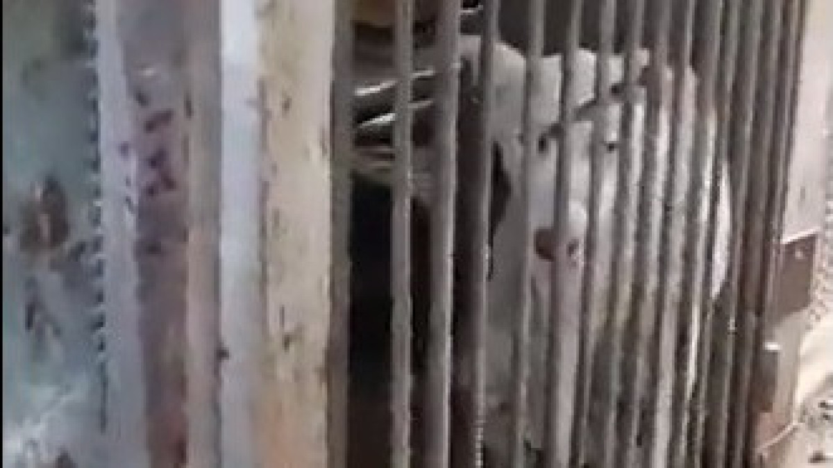 кадр из видео