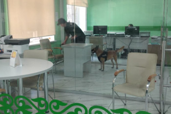 Фотография к новости: Ультиматум властям: бомбы ищут в зданиях судов Алматы и Алматинской области