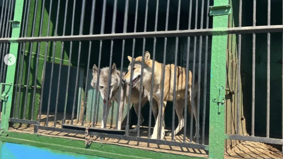 ОФ "Доброе сердце"