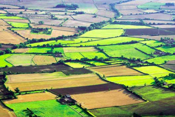 Фотография к новости: План возвращения земель государству озвучили в Минсельхозе