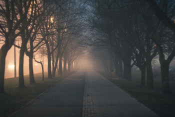 Фотография к новости: Штормовое предупреждение объявили в девяти областях Казахстана