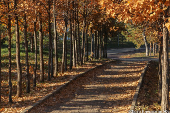 Фотография к новости: Когда Казахстан накроет осенняя погода, рассказали синоптики