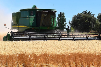 Фотография к новости: Урожай 2022: уже намолочено 7,5 миллиона тонн зерна