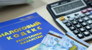 Новый Налоговый кодекс разработают в Казахстане