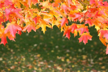 Фотография к новости: Прогноз погоды на выходные: на севере похолодает, на юге – жара