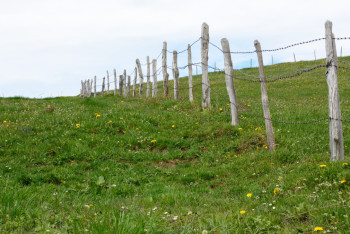 Фотография к новости: Незаконные земли родственников высокопоставленных чиновников вернули в Алматинской области