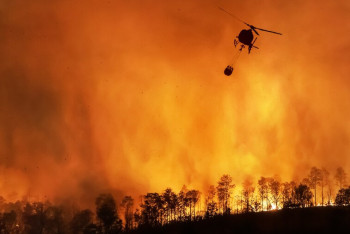 Фотография к новости: Стихийные бедствия: аномальные лесные пожары в мире за последние годы