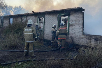 Стало известно о 10 пострадавших в лесных пожарах в Костанайской области