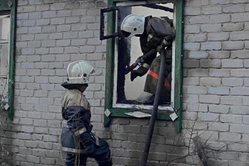 Более 43 тысяч гектаров леса уничтожены пожарами в Костанайской области