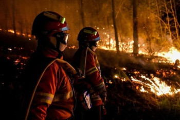 Фотография к новости: Крупные лесные пожары бушуют сразу в нескольких странах мира