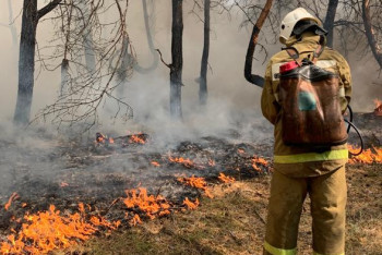 Как пожарные борются с огнём в лесах Костанайской области – МЧС показало фото и видео