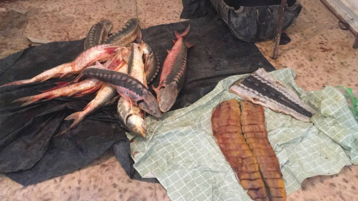 пресс-центр ДПС КНБ РК