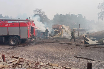 Фотография к новости: Лесные пожары в Костанайской области: в пунктах эвакуации остались 66 человек