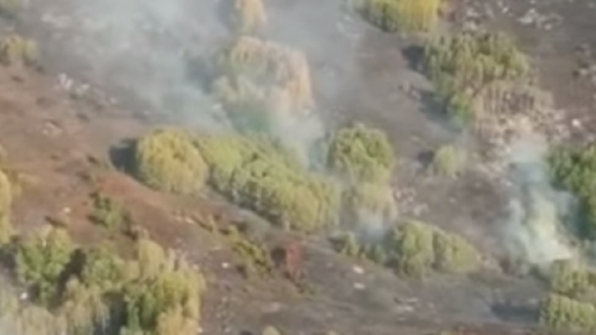 скриншот с видео