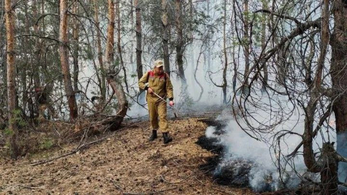 Минэкологии