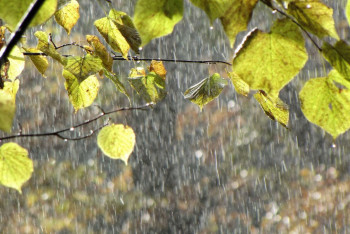 Фотография к новости: Похолодание ожидают в ближайшие три дня в Казахстане