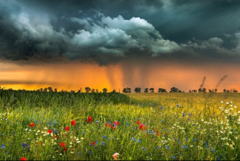 Фотография к новости: Чрезвычайная пожарная опасность объявлена в 10 областях Казахстана