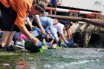 Фотография к новости: В столице хотят реабилитировать ручей Акбулак