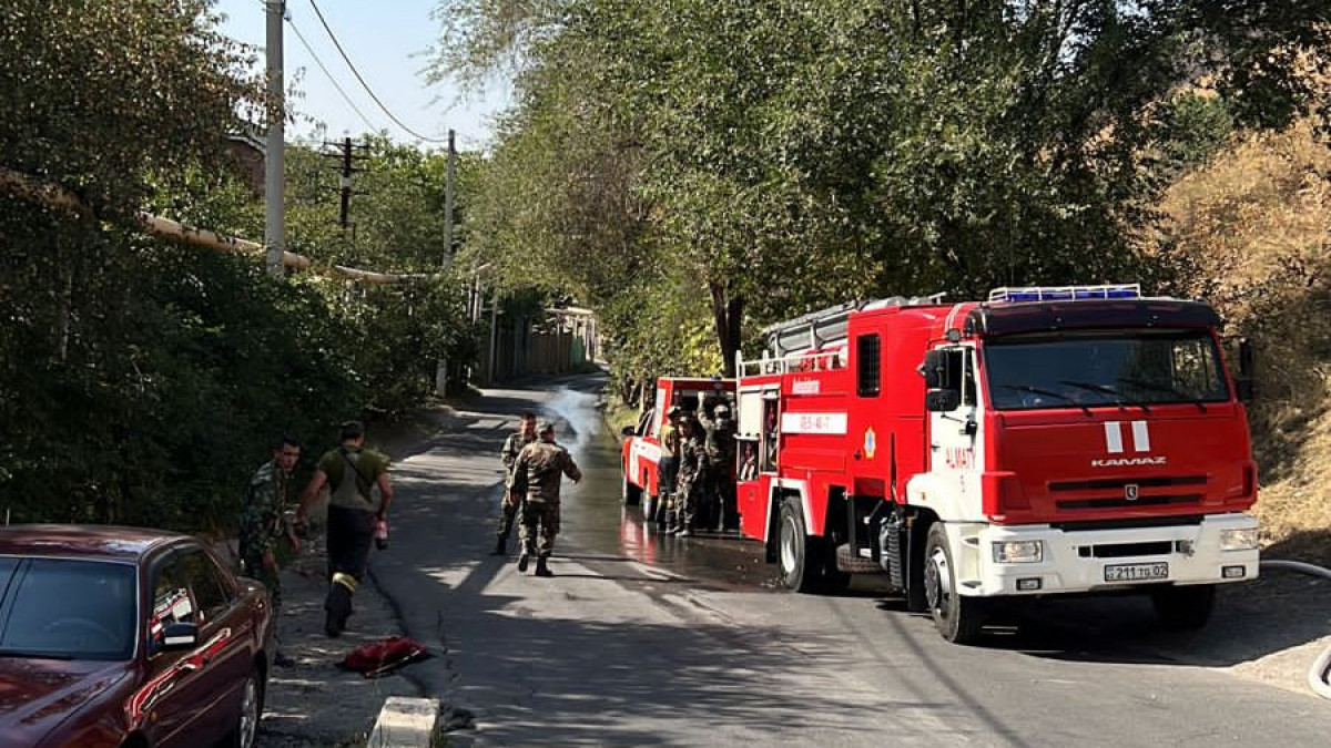 Крупный пожар тушат в предгорьях Алматы