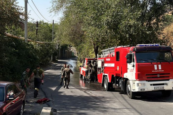 Крупный пожар тушат в предгорьях Алматы