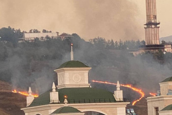 Фотография к новости: Сухая трава горит у вышки Коктобе в Алматы