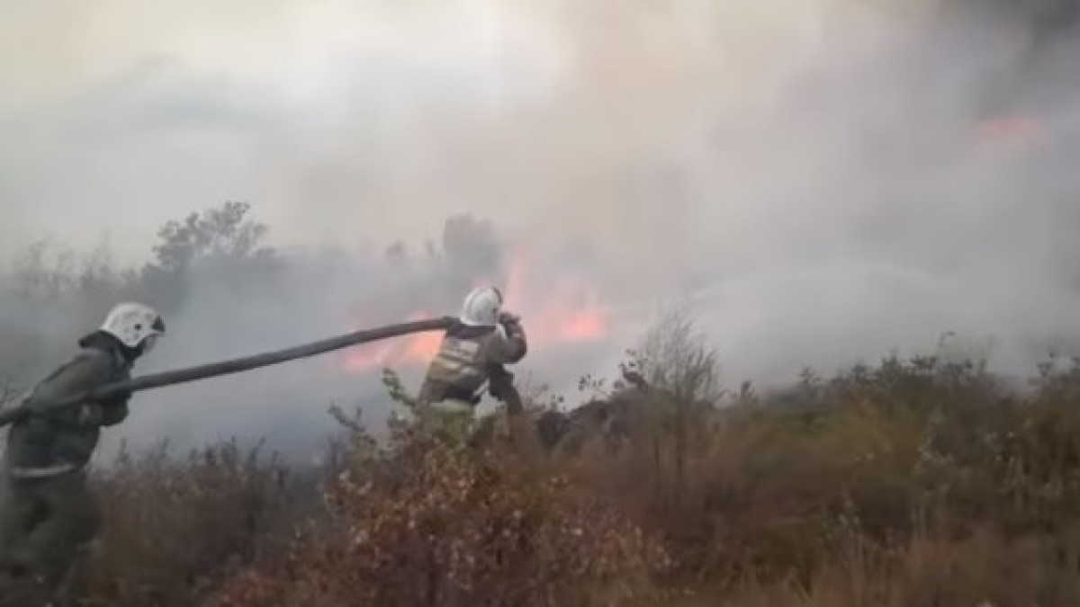 скриншот с видео