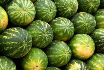 Фотография к новости: Павлодарцы смогут сыграть в боулинг арбузами