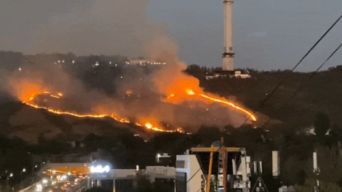 скриншот видео