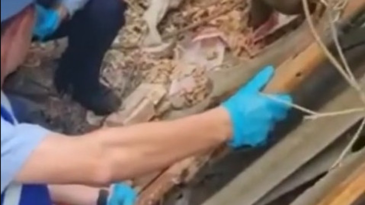 скриншот видео