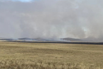 Фотография к новости: Степной пожар разгорелся в Павлодарской области