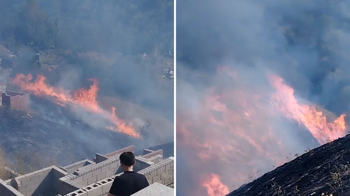 скриншот из видео