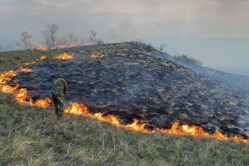 Фотография к новости: В ВКО летят дополнительные вертолёты МЧС для тушения пожаров