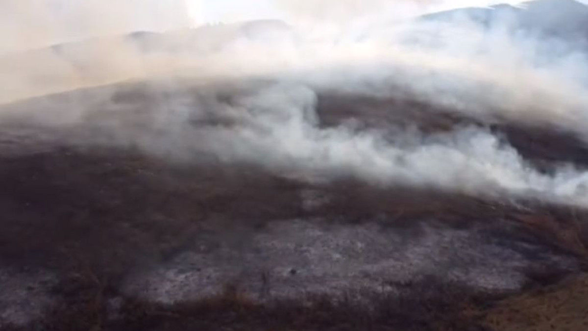 instagram/shygysqaz_tjd