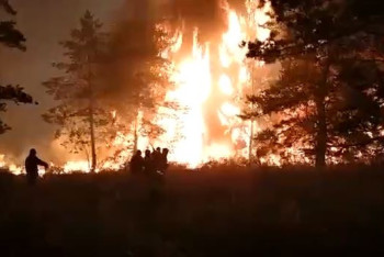 Фотография к новости: Как наказывали поджигателей леса 100 лет назад, напомнила павлодарка