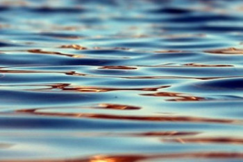 Фотография к новости: В Павлодаре нашли тело утонувшего тренера