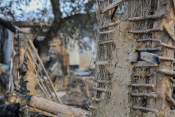 Фотография к новости: Погибших в пожаре животных и птиц посчитали в Костанайской области