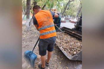 Карагандинца отправили подметать улицы за подделку больничного листа