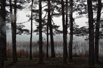 Фотография к новости: "Просили еду и спали в лесу". В Уральске нашли пропавших воспитанников детдома