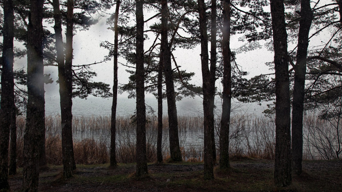 pixabay.com/ иллюстративное фото