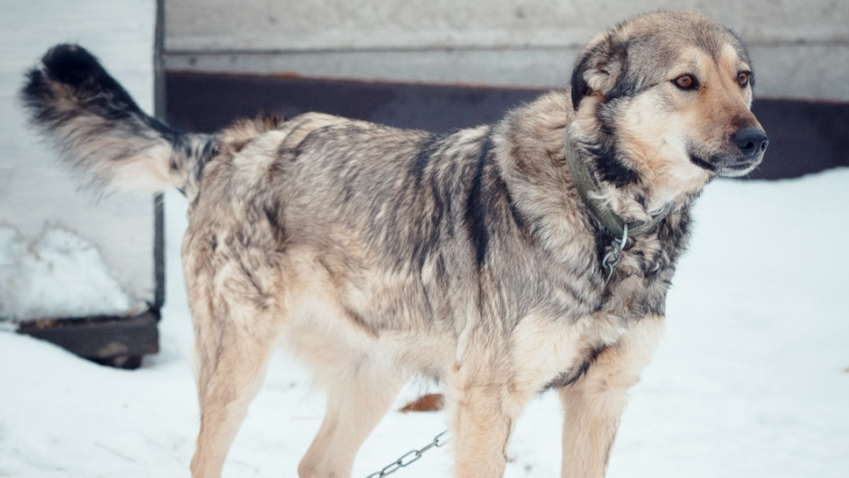 ДУИС по Карагандинской области