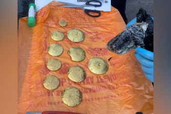 Фотография к новости: Контрабанду золота на 84 миллиона тенге выявили в аэропорту Алматы