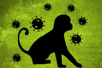 Фотография к новости: В Украине зафиксировали первый случай оспы обезьян